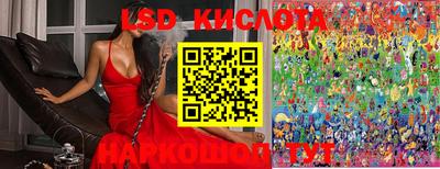 дурь Майкоп