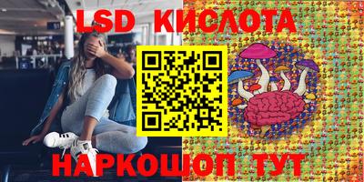 a pvp Михайловск