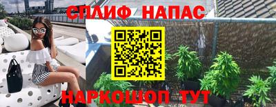 a pvp Михайловск