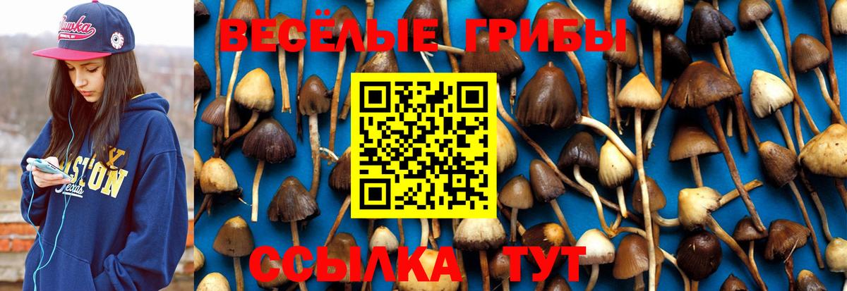 Галлюциногенные грибы GOLDEN TEACHER Михайловск