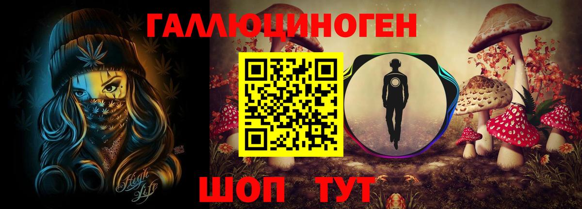 Галлюциногенные грибы Psilocybine cubensis  Вход с VPN  Галлюциногенные грибы мицелий  продажа наркотиков  Михайловск 